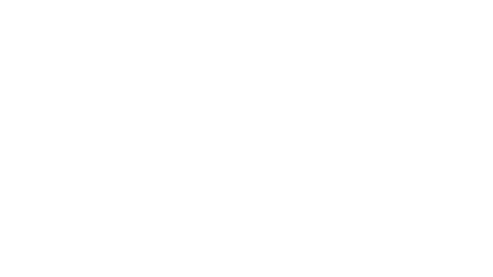 Lunns WHITE Logo Lunns WHITE Logo