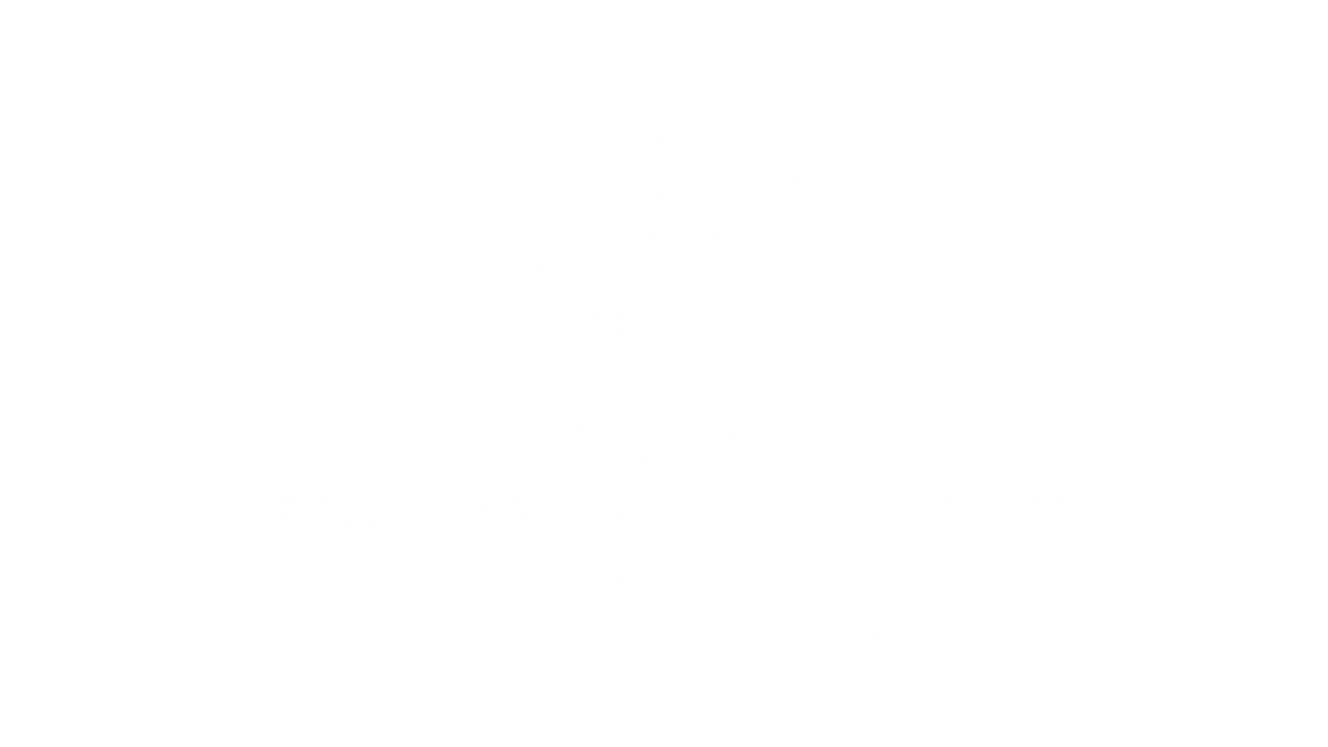 Rolex Rolex